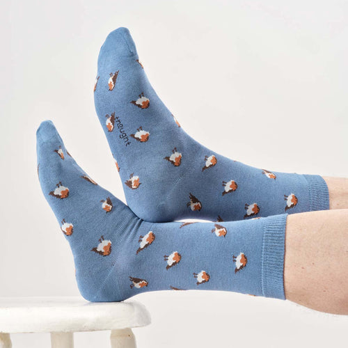 Thought Mens Socks - Robin Bamboo Socks