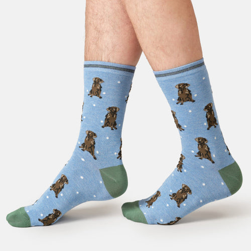Thought Mens Socks - Labrador Bamboo Socks