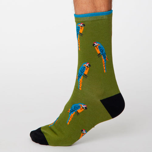 Thought Mens Bamboo Socks - Pappagallo