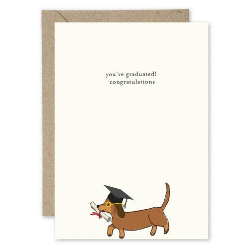 The Paper Gull - You’ve Graduated! Congratulations