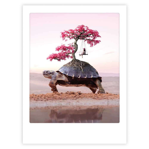 Pickmotion Poster 30x40cm - Turtle life