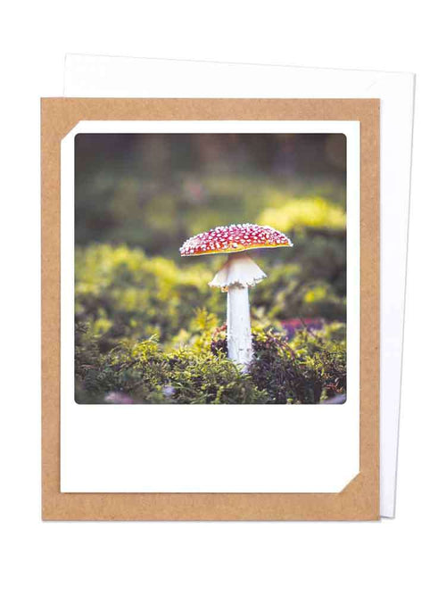 Pickmotion Photo-Card - Toadstool in Forest