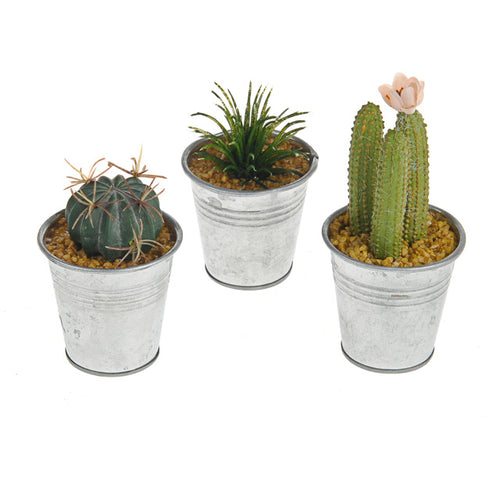 Artificial Plant - Potted mini Cactus