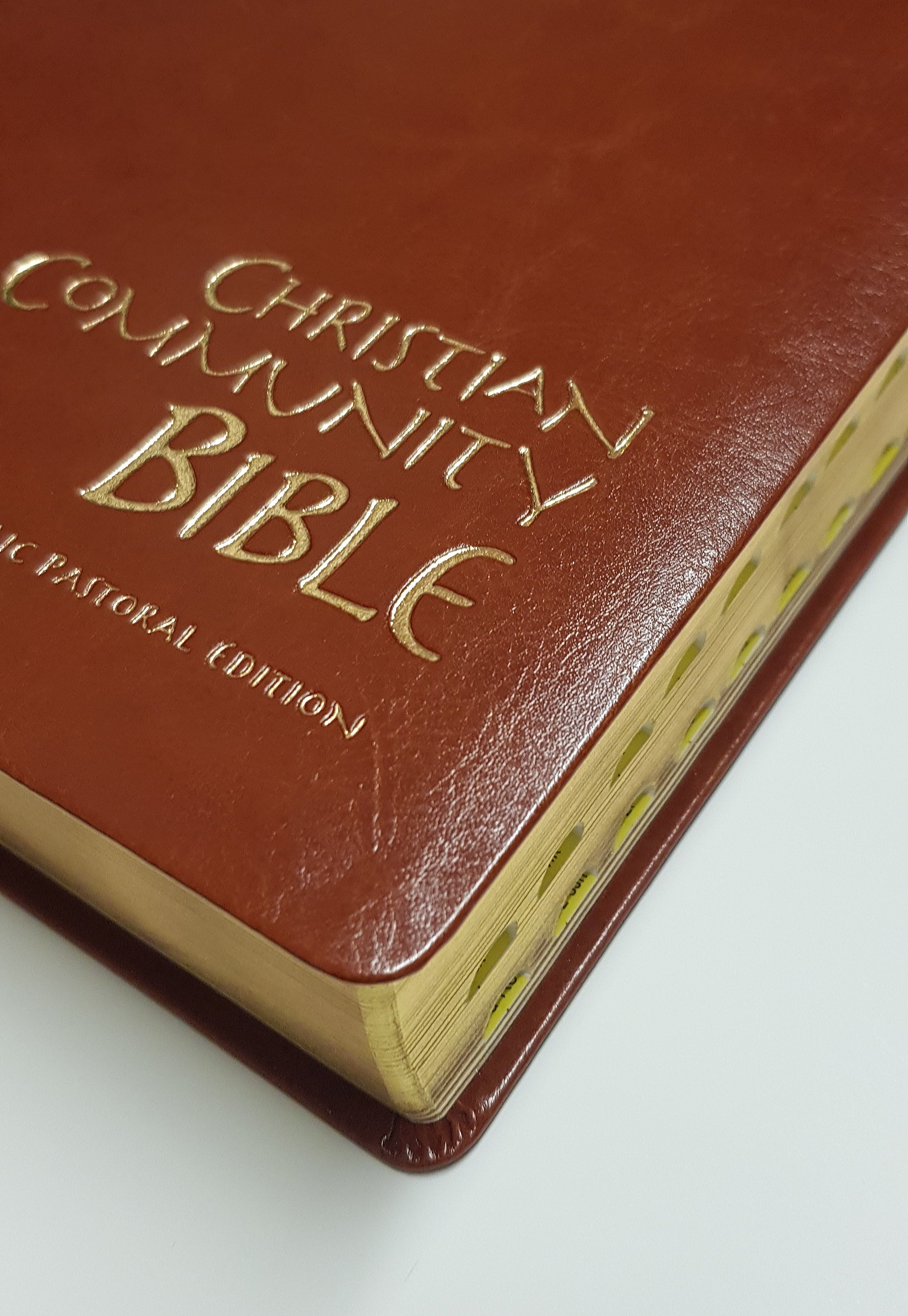 Catholic Christian Community Bible - Family Edition Leather Gilt & Indexed