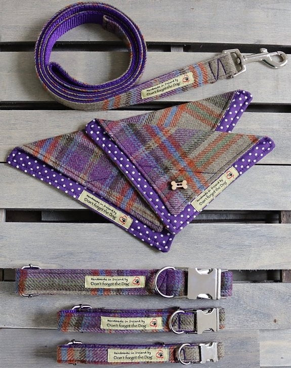 'Don't forget the Dog' Tweed Collar - Metal Buckle
