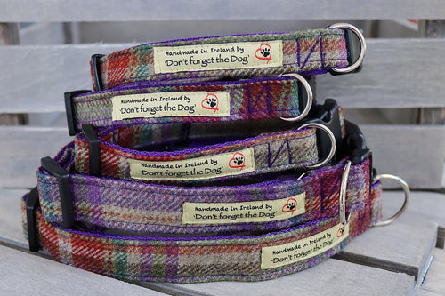 'Don't forget the Dog' Tweed Collar - Durable Plastic Buckle