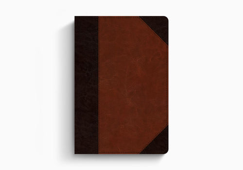 ESV - Large Print Compact Bible Imitation Leather