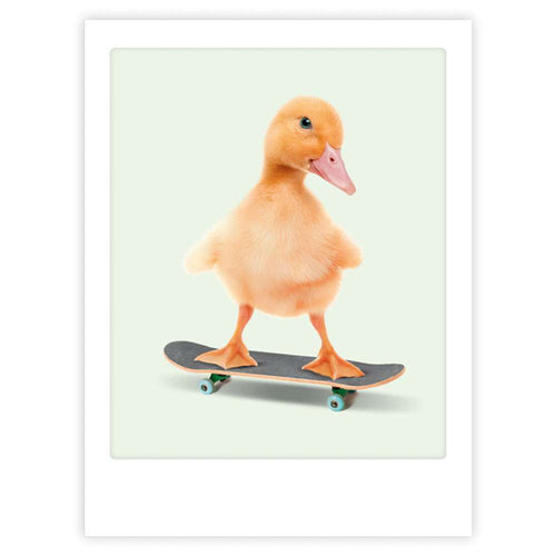 Pickmotion Poster 30x40cm - Skateboarding Baby Duck
