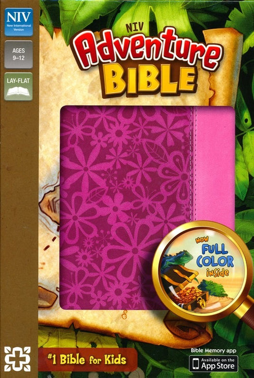 NIV - Adventure Bible - Full Colour - Raspberry