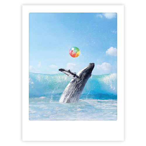 Pickmotion Poster 30x40cm - Happy Whale