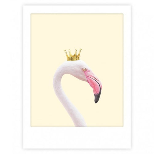 Pickmotion Poster 30x40cm - Royal Flamingo