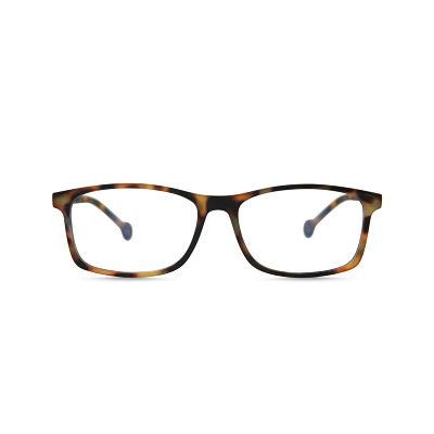 Parafina Screen/Reading Glasses - EBRO Tortoise (discontinued)