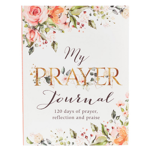 My Prayer Journal - 120 days of prayer, reflection and praise
