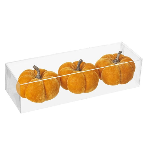 Heaven Sends Halloween - Velvet Pumpkin Set