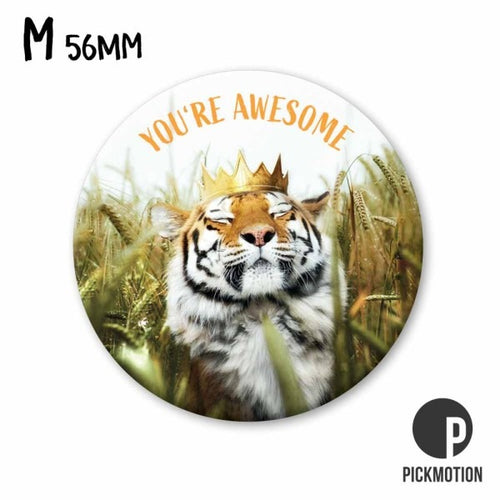 Pickmotion Magnet Medium - You are Awesome