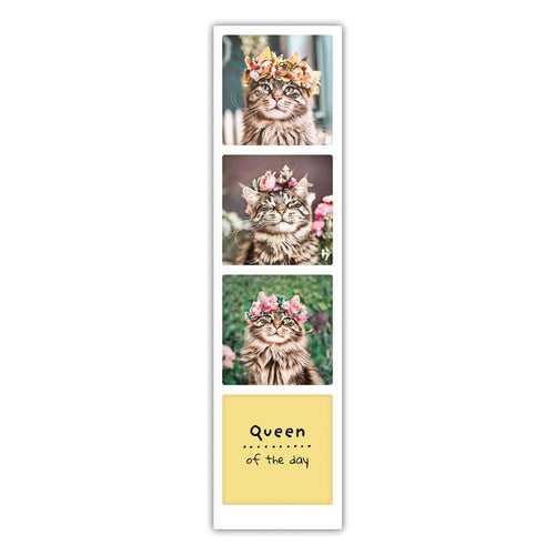 Pickmotion Photostrip - Queen of the Day