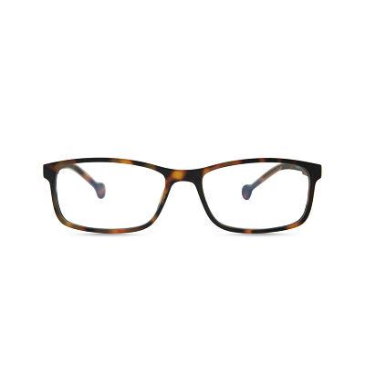 Parafina Screen/Reading Glasses - TAMESIS Tortoise (discontinued)