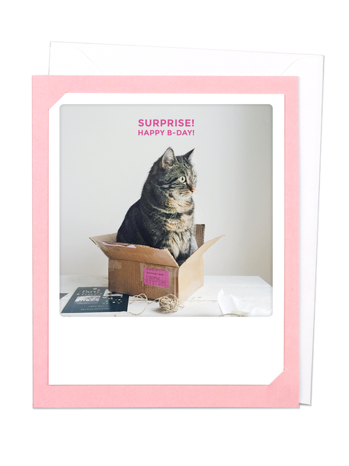Pickmotion Photo-Card - Surprise Rosa