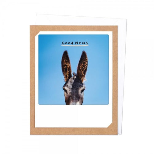 Pickmotion Photo-Card - Good News Donkey