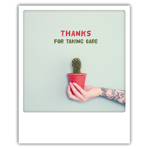 Pickmotion Photo-Card - Take Care Cactus