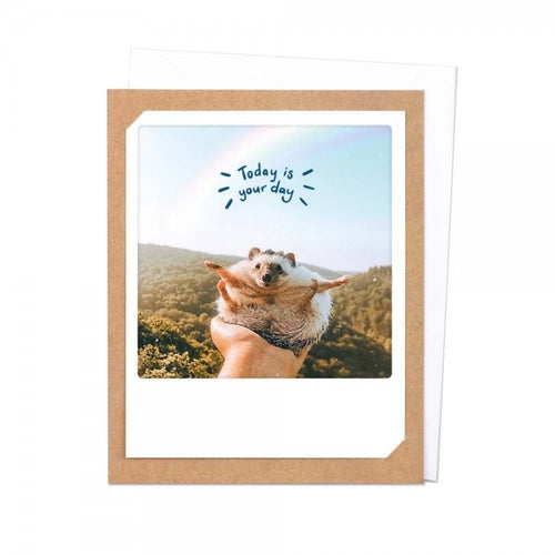 Pickmotion Photo-Card - Today is Your Day Hedgehog