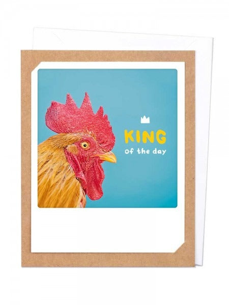 Pickmotion Photo-Card - King of the Day
