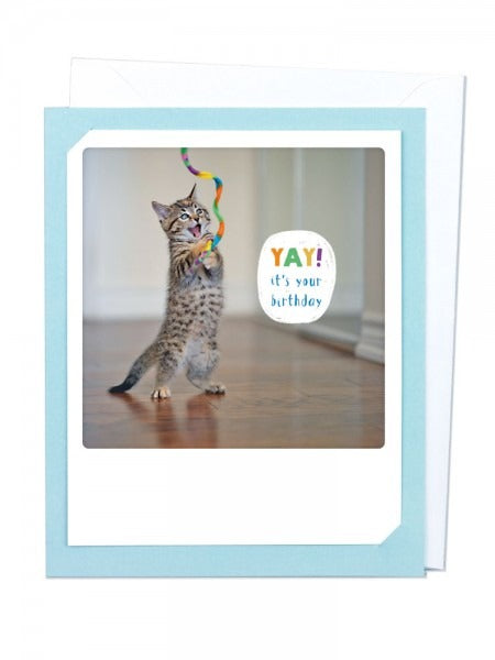 Pickmotion Photo-Card - Birthday Yay-Day