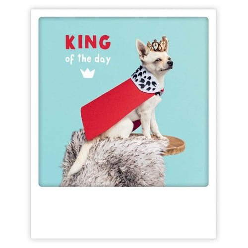 Pickmotion Photo-Card - King of the Day Dog
