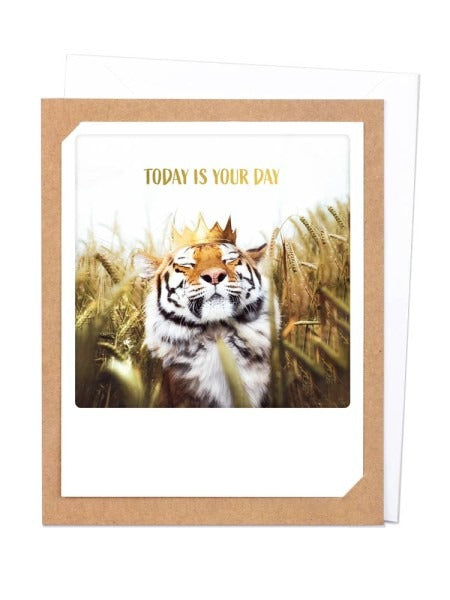 Pickmotion Photo-Card - Today is Your Day Tiger