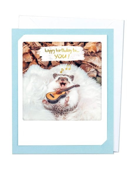 Pickmotion Photo-Card - Birthday Hedghog