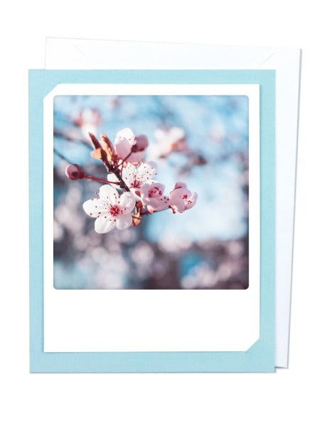 Pickmotion Photo-Card - Cherry Blossom