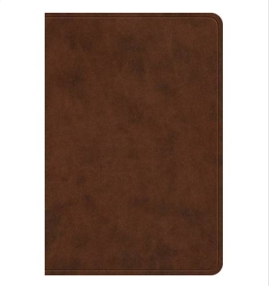 ESV - VALUE LARGE PRINT COMPACT BIBLE TRUTONE - BROWN