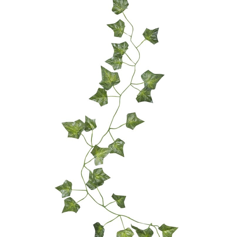 Ginger Ray Decoration - Beautiful Botanic Vines – Unbound