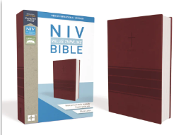 NIV - VALUE THINLINE BIBLE, LEATHERSOFT, BURGUNDY, COMFORT PRINT